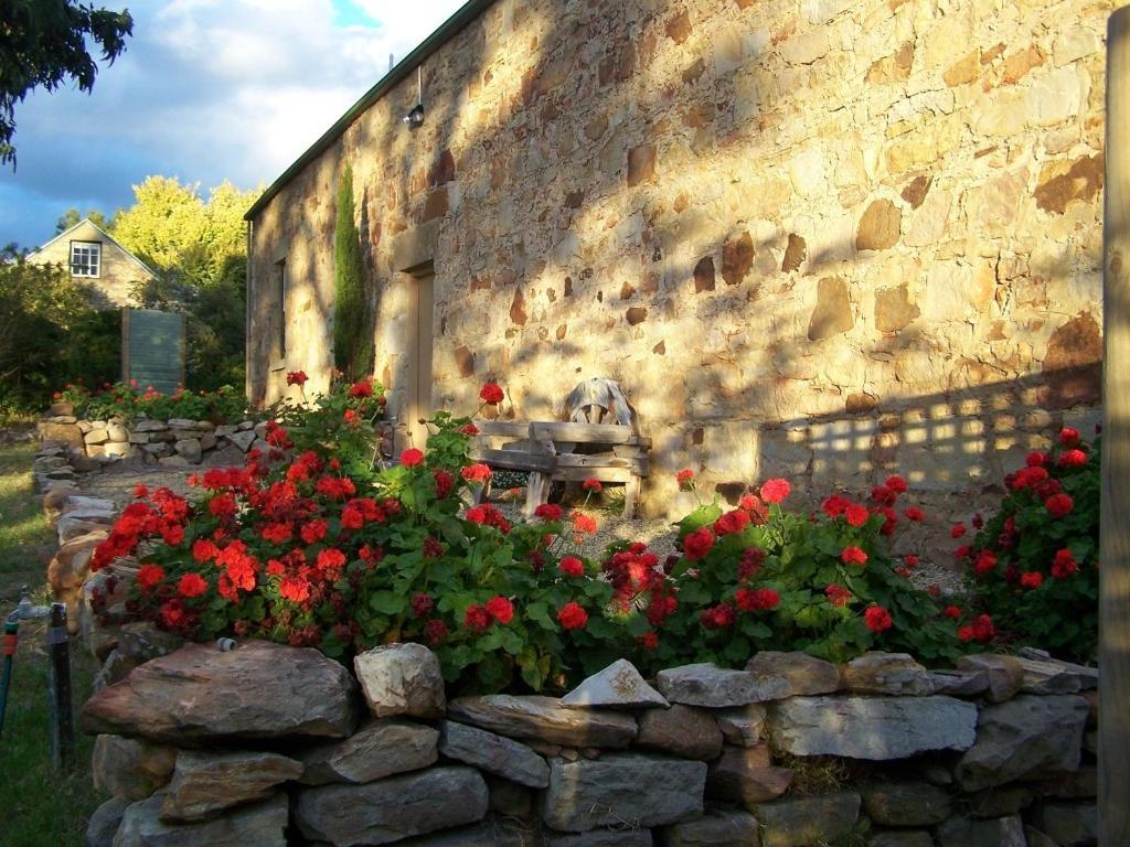 Cleburne Homestead Risdon Zimmer foto