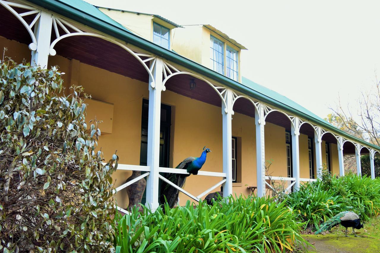 Cleburne Homestead Risdon Exterior foto