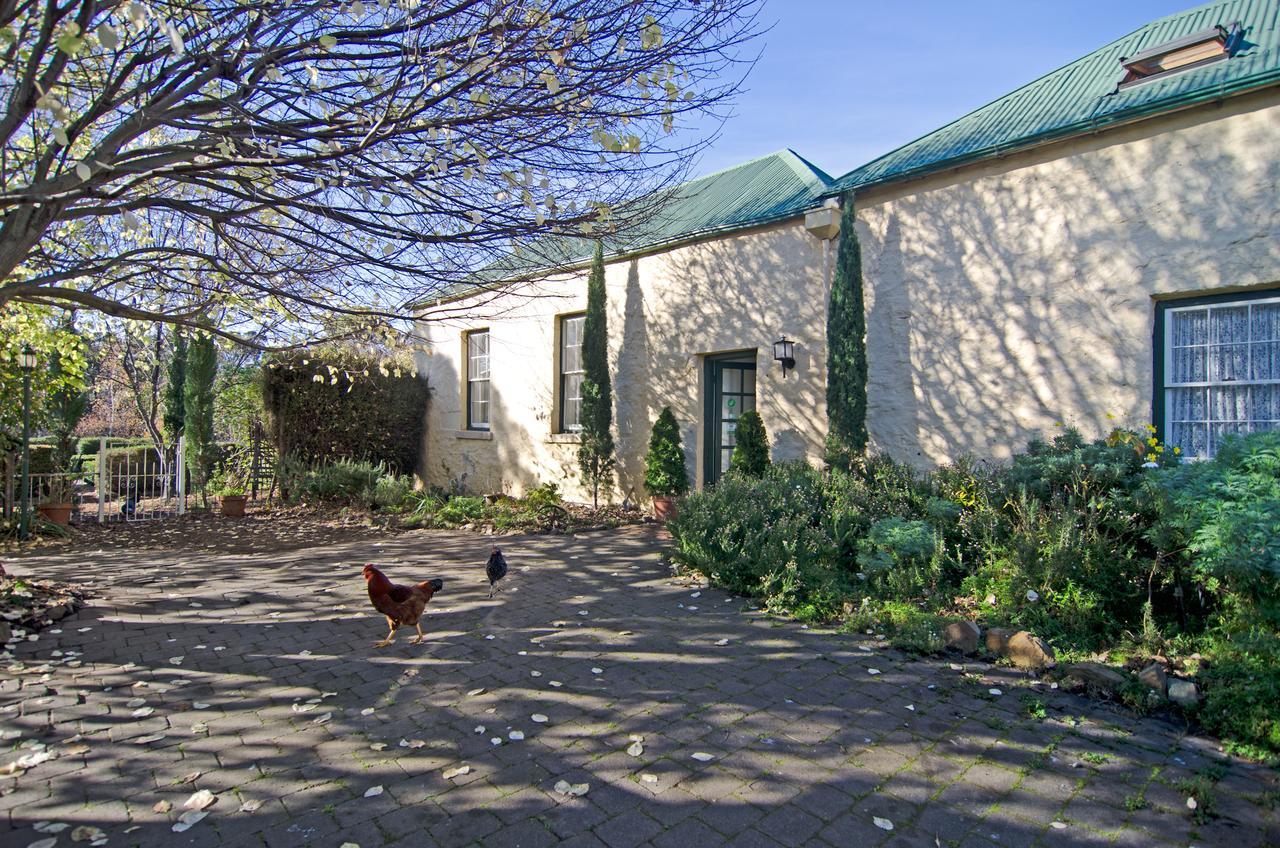 Cleburne Homestead Risdon Exterior foto